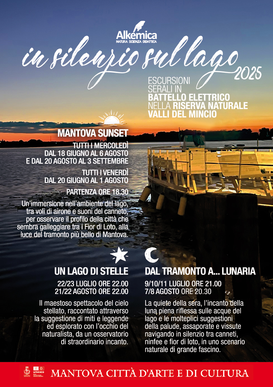 In silenzio sul lago 2025 01