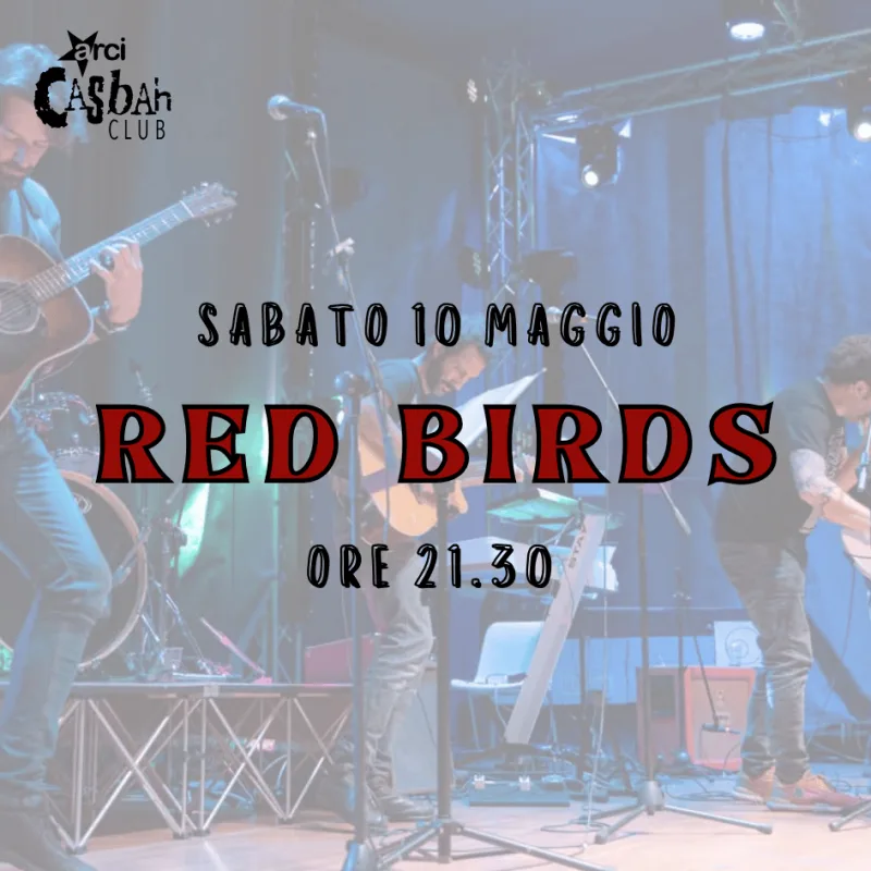 Copia di Ape no food no science Post Instagram