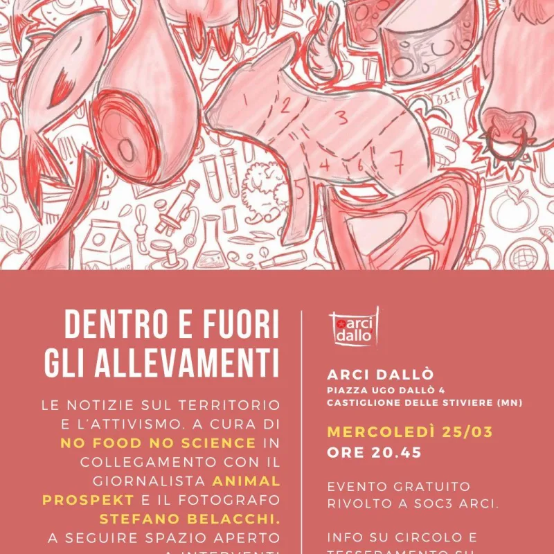 Whats App Image 2026 03 14 at 13 07 45