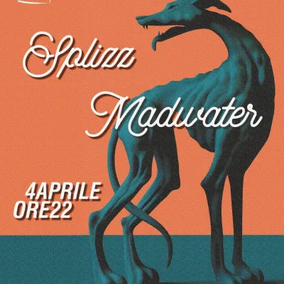 Whats App Image 2026 03 20 at 16 08 37