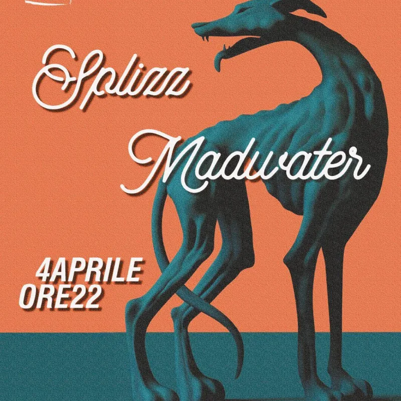 Whats App Image 2026 03 20 at 16 08 37