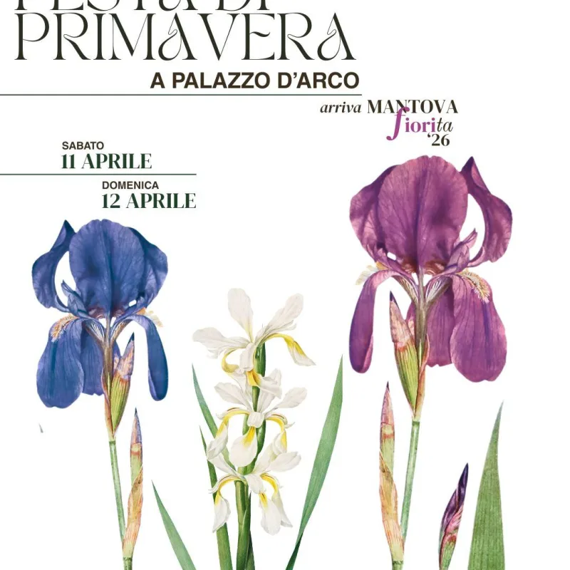 Festa di primavera palazzo darco 2