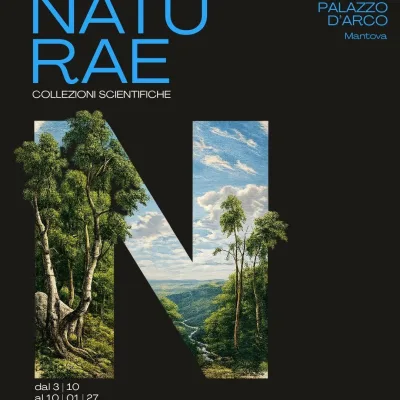 Naturae post 45