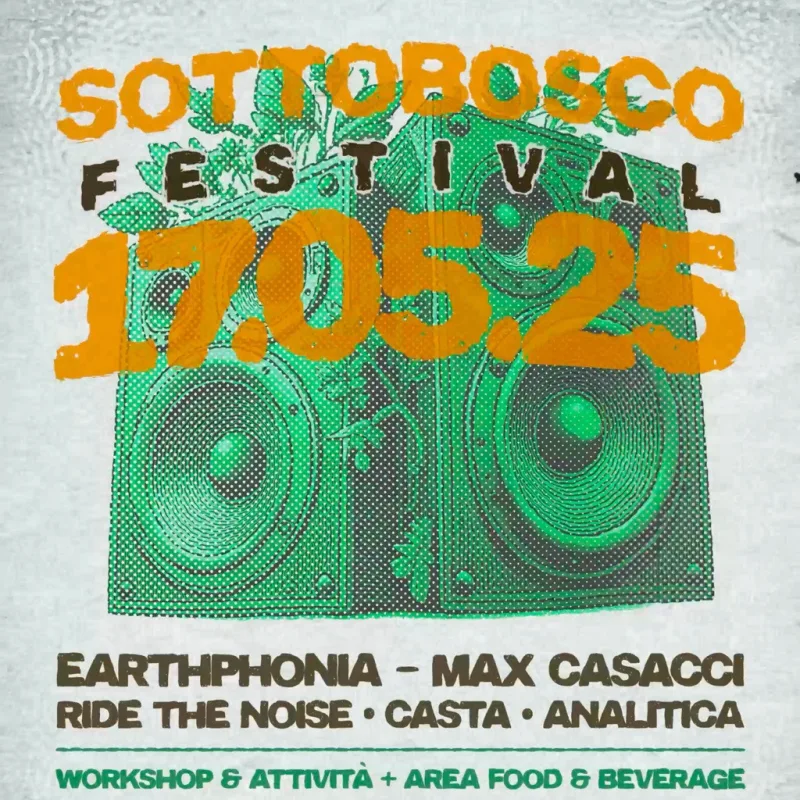 Sottobosco feed dimensioni grandi