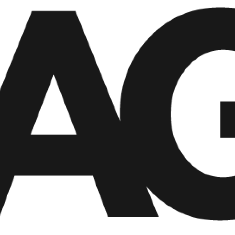 LOGO IMMAGINA