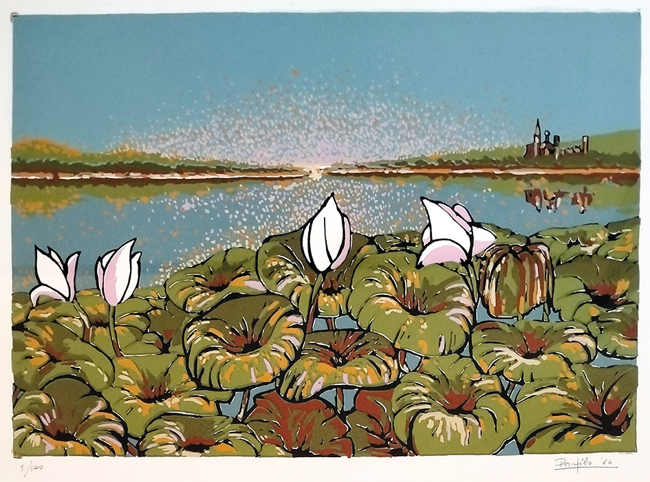Panfilo Fiori di loto colorati