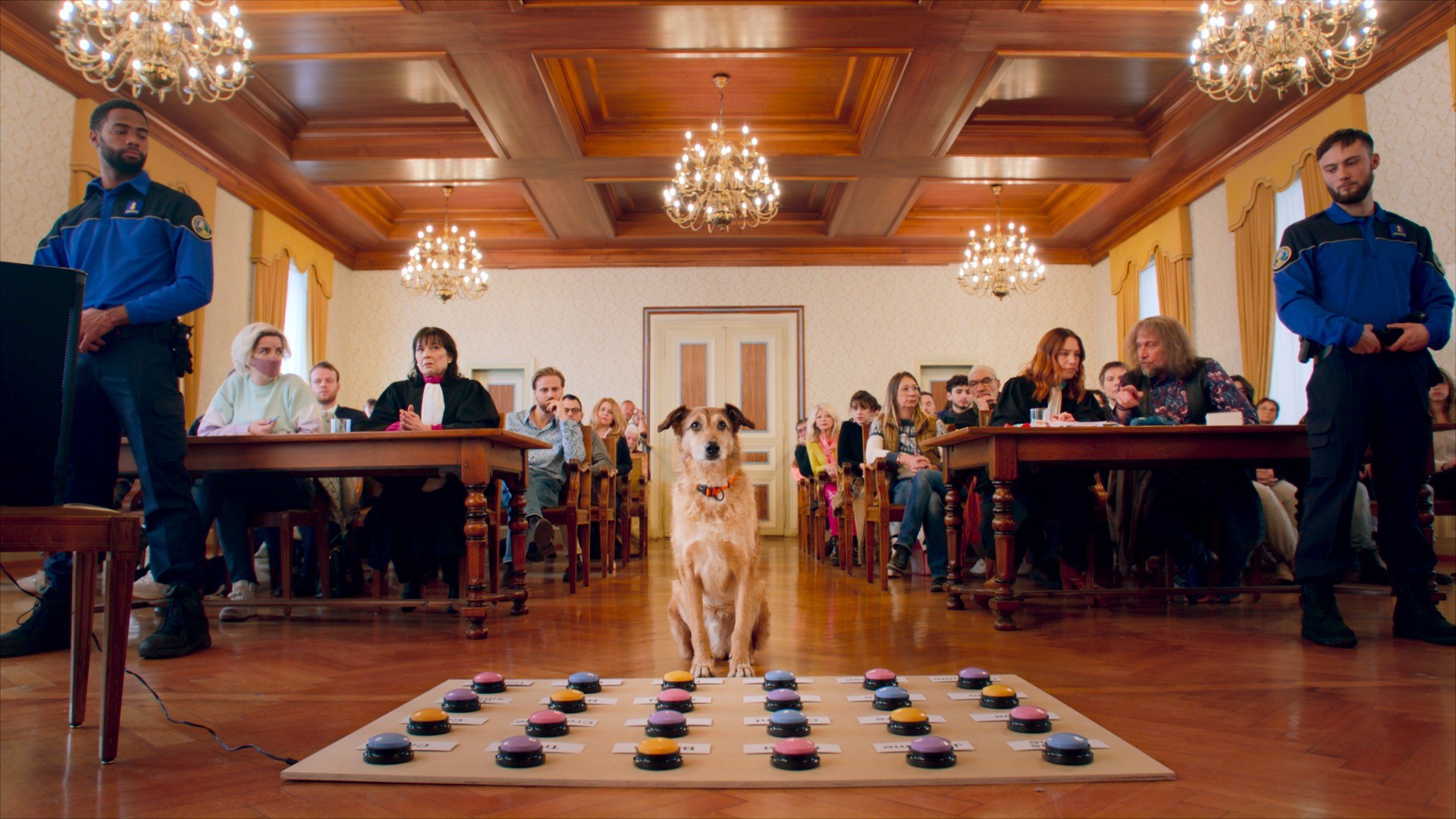 LE PROCES DU CHIEN Photo2