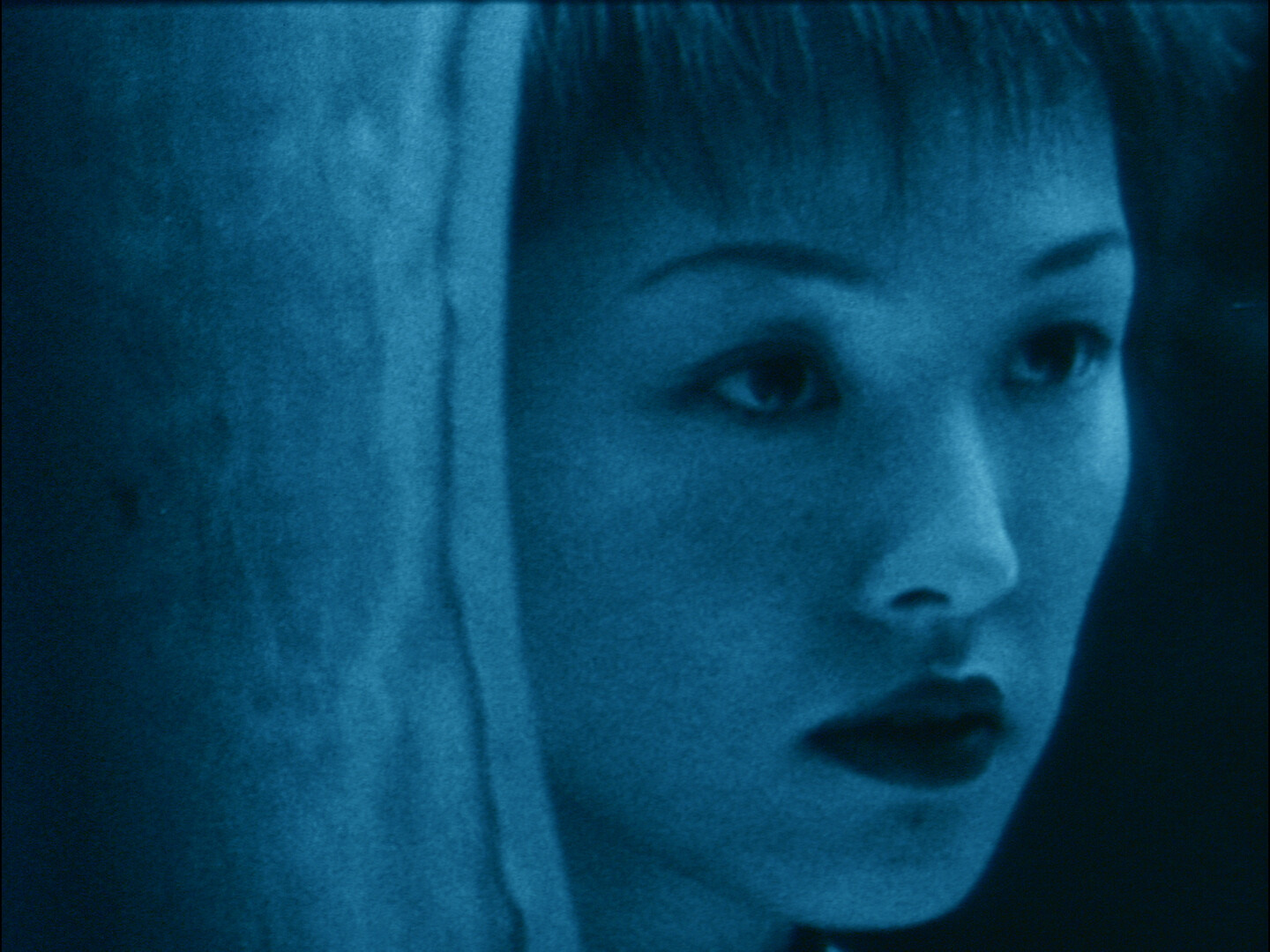 A snake of june shinya tsukamoto 36