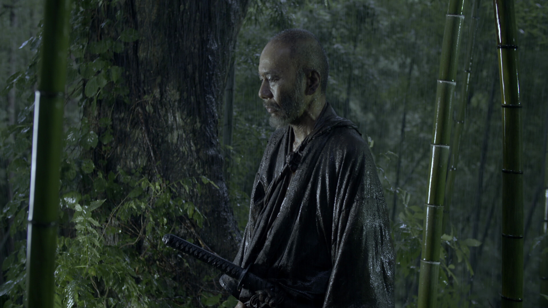 Zan killing shinyatsukamoto 4