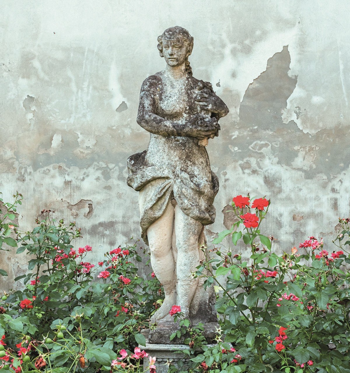 Palazzo darco giardino