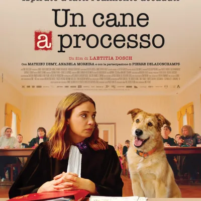 Un cane a processo poster scaled
