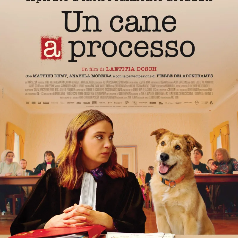 Un cane a processo poster scaled