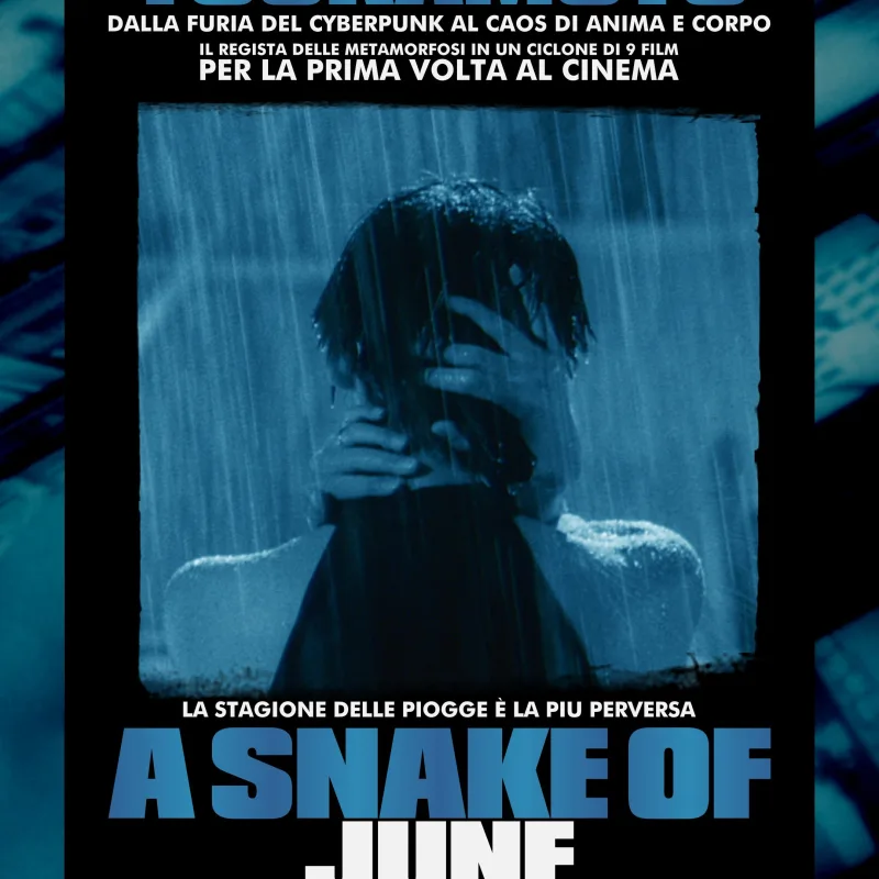 T65 5 Snake Of June poster