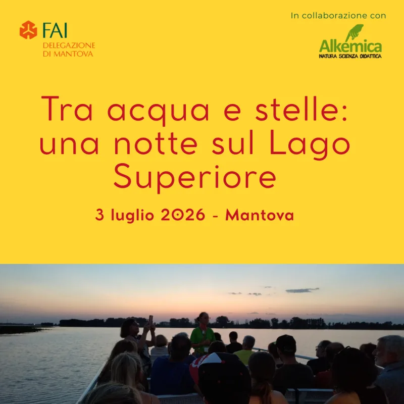 FAI quadrato 2