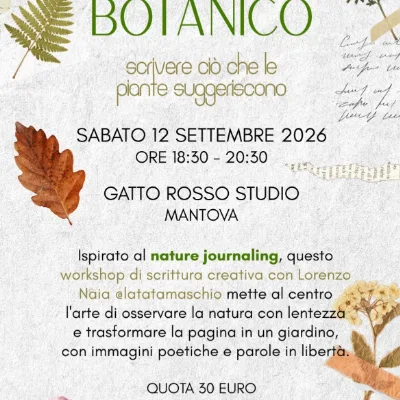 12 settembre gatto rosso studio