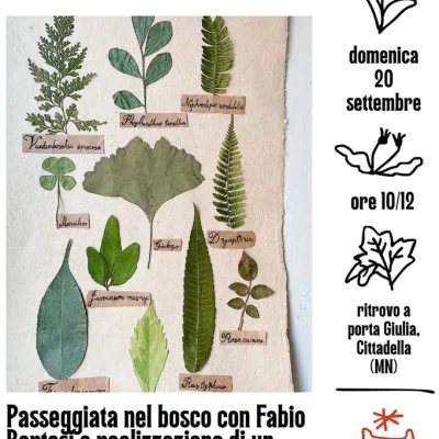 20 settembre erbario