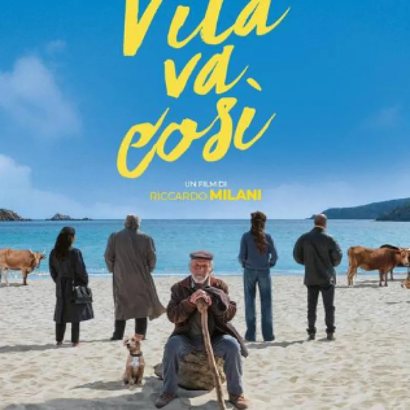 La vita va cosi