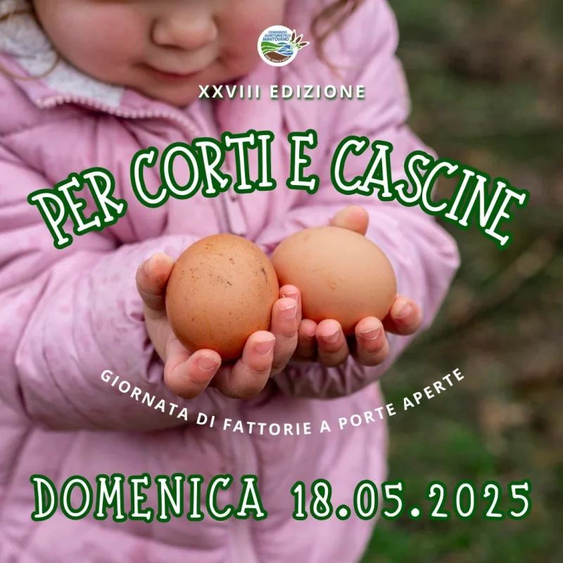Corti cascine