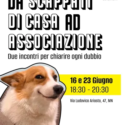 Whats App Image 2026 06 12 at 09 59 38