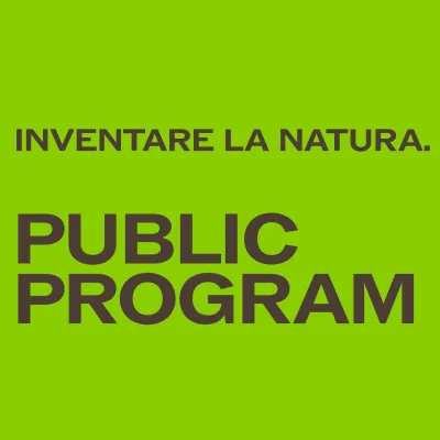 Progetto senza titolo 22