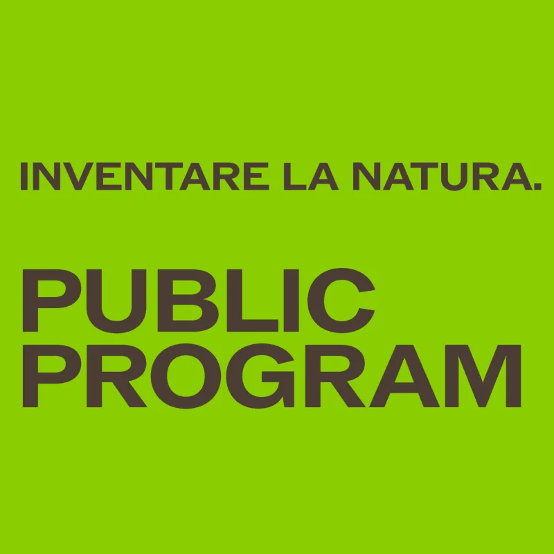 Progetto senza titolo