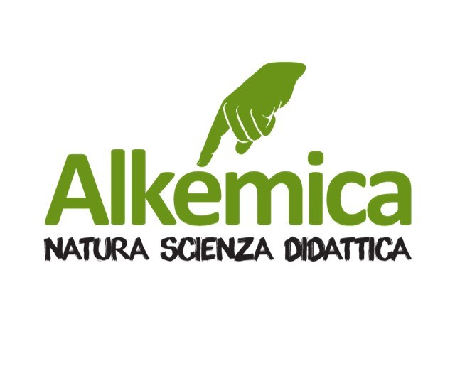 Alkemica